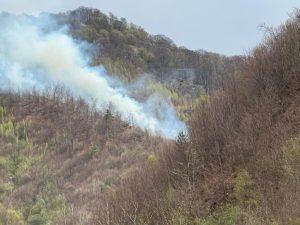 DSU, despre incendiul de pÄdure din ArgeÈ: Se manifestÄ mocnit